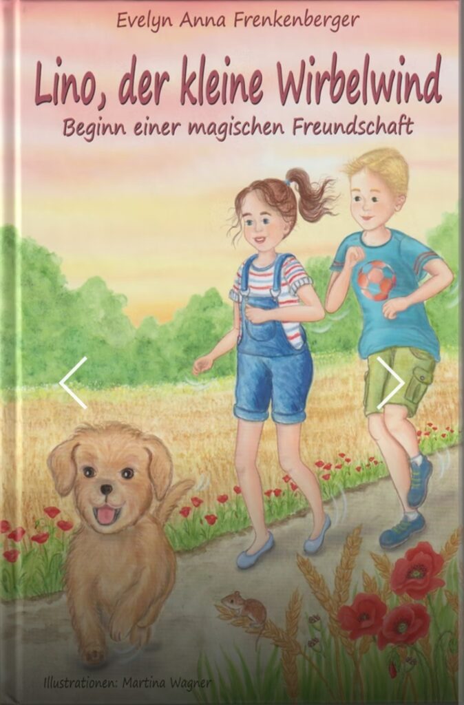 Lino, der kleine Wirbelwind – Evelyn Anna Frenkenberger
